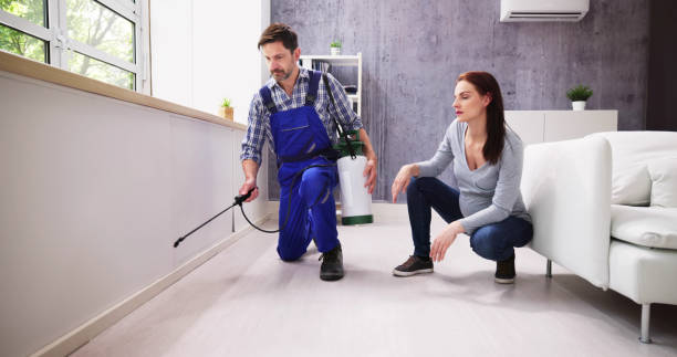 Best Pest Prevention Services  in Blue Island, IL